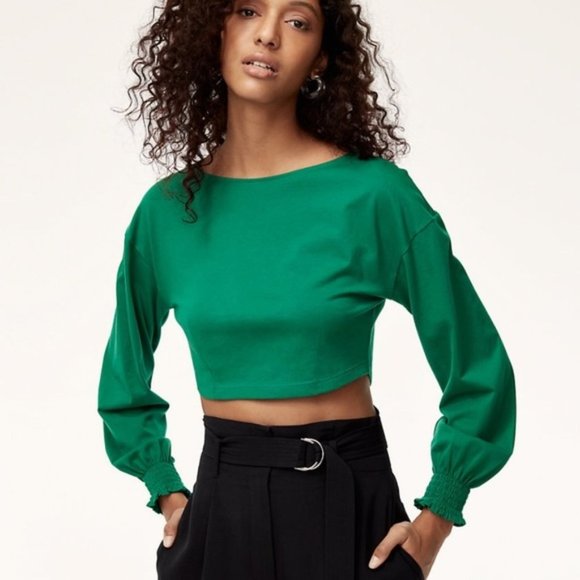 Aritzia Tops - Aritzia Wilfred‎ 'Enzo' Long Sleeve Crop Top